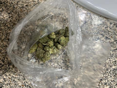 Cali Canna Gelato 41 Review