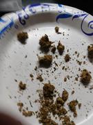 Cali Canna Exotic Gelato 33 Review