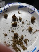 Cali Canna Exotic Gelato 33 Review