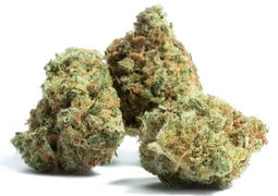 Cali Canna Black Cherry Gelato Review