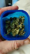 Cali Canna Pink Guava Smalls Review