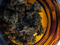 Cali Canna Green Crack Review