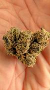 Cali Canna Galactic Warhead Review
