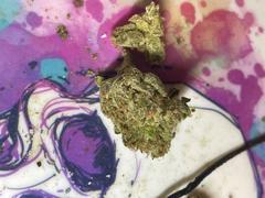Cali Canna L’Orange Review