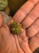 Cali Canna Sherbinski Review