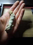 Reseña de los hongos Cali Canna Albino Penis Envy