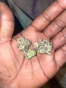 Cali Canna White Caviar Review