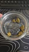 Cali Canna Gelato Bookies Review