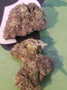 Cali Canna Rainbow Runtz Review