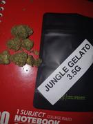 Cali Canna Jungle Gelato Review