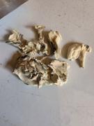 Cali Canna Enigma Review