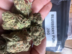 Cali Canna Gelato Smalls Review