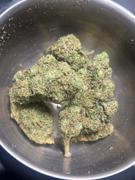 Cali Canna Palazzo Review