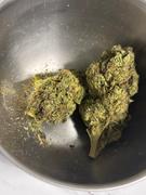 Cali Canna Gary Payton Review