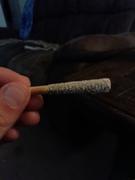 Cali Canna Sluggers Hit (3.5g) - Hurricane Szn Review