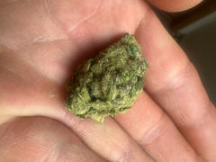 Cali Canna Galaxy Runtz Review