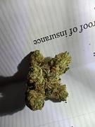 Cali Canna True OG Review