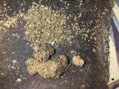 Cali Canna Sugar Runtz Review