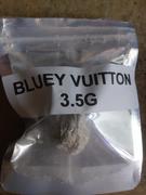 Cali Canna Bluey Vuitton Review