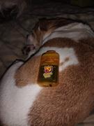 Cali Canna Buddah Bear Sugar Diamond Dispo (3g) - Pineapple OG Review