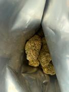 Cali Canna Zootopia Review