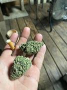 Cali Canna Wedding Cake Review