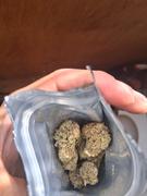 Cali Canna Juicy Gelato Review