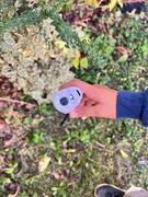 Petiscope The Petiscope Review