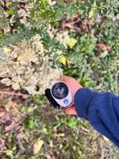 Petiscope The Petiscope Review