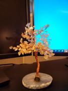 Karma and Luck Happiness Evoker - Citrine Feng Shui Tree Review