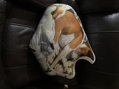 All About Vibe Custom Shaped Pillow Review
