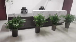 Maoters Imitation Marble Front Desk Review