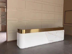 Maoters Simple Lacquer Reception Desk - Beauty  Review