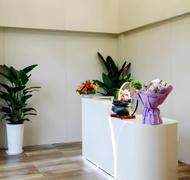 Maoters Maoters Retail Reception Desk - Stylish  Review