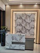 Maoters Lacquer Office Reception Desk - Hotel Review