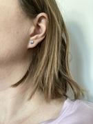 Blomdahl USA Silver Titanium Star Earrings Review
