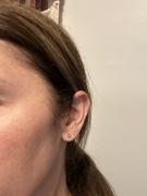 Blomdahl USA Silver Titanium Ball Earrings Review