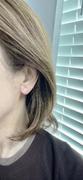 Blomdahl USA Medical Plastic Sport Earrings Review