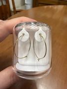 Blomdahl USA Golden Titanium Ear Rings Review