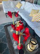 Bloomaker Classic Red Review