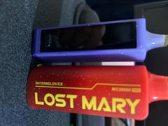 Vape Society Supply Lost Mary MO20000 Pro Disposable Vape | 20k Puffs Review