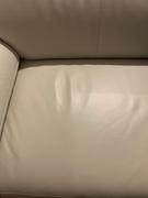 daniafurniture Voss Power Reclining Sofa Review