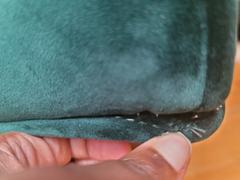 daniafurniture Delphine Sofa Review