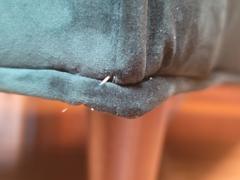 daniafurniture Delphine Sofa Review