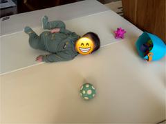 Wunderkids Color Folder Review