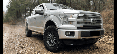 Shock Surplus Bilstein 6112 Strut & Spring Front Pair for 2015-2020 Ford F150 4WD Review