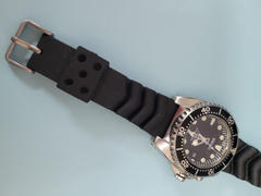 watchstraps.com.au OEM Seiko fat spring bar set - 2.5mm thick Review