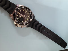 watchstraps.com.au OEM Seiko fat spring bar set - 2.5mm thick Review