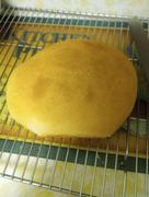 My Patriot Supply Honey Wheat Bread Mix #10 Can (36 servings) Review