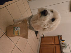 Luckydogs Bakery Lucky’s Peanut Butter Cookies<br>5lb Bag Review